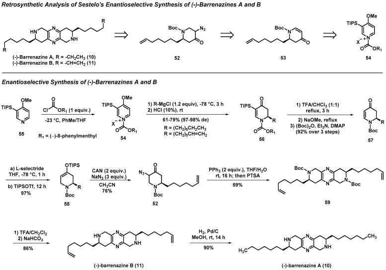 Scheme 4