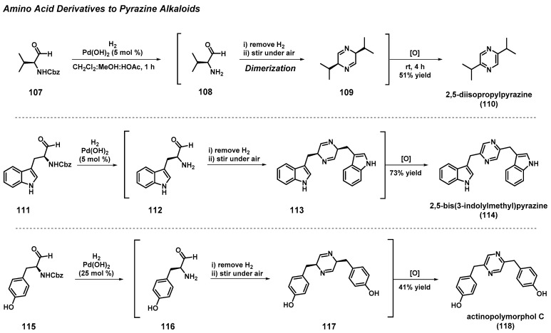 Scheme 10