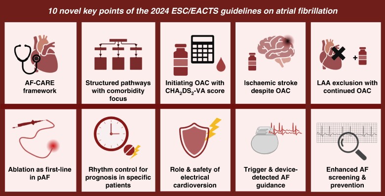 Graphical Abstract