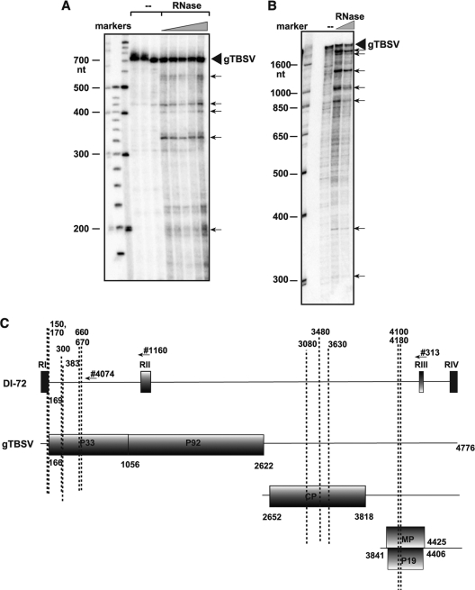 FIG. 8.