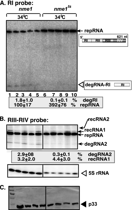 FIG. 5.