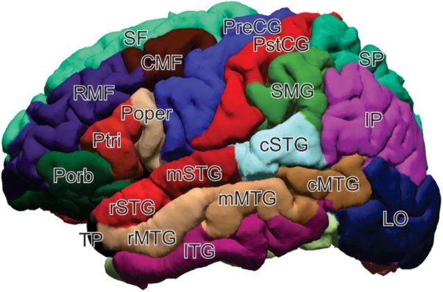 Figure 2.