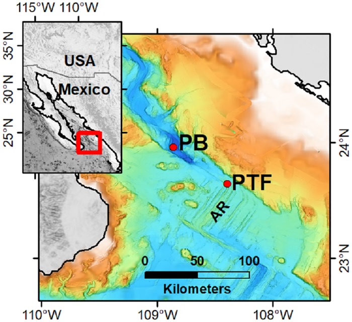 Fig 1