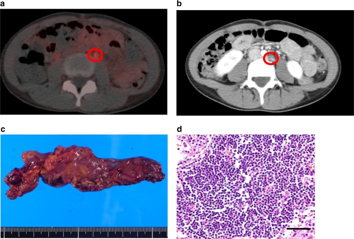 Fig. 1