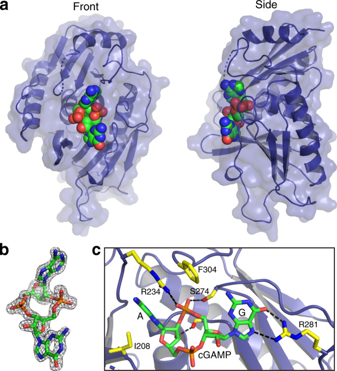 Fig. 4