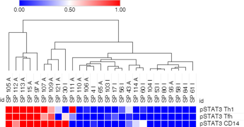 Figure 3