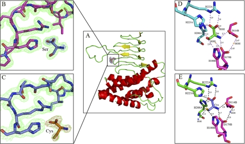 FIGURE 2.