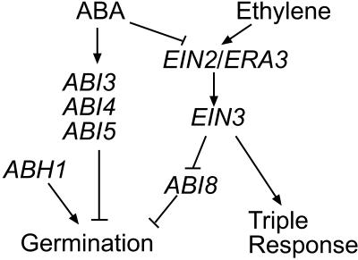 Figure 10.