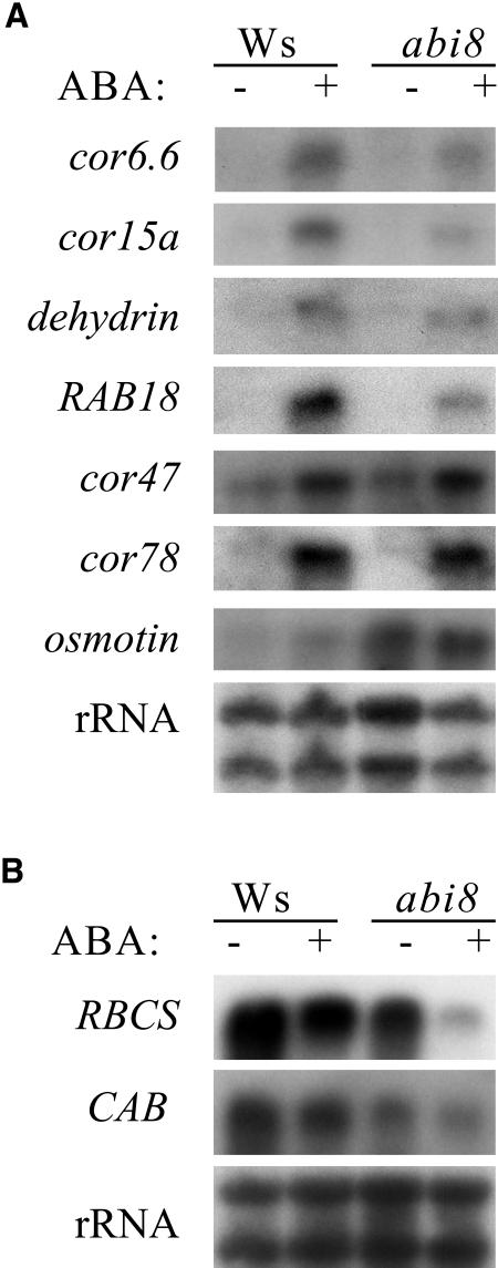 Figure 6.