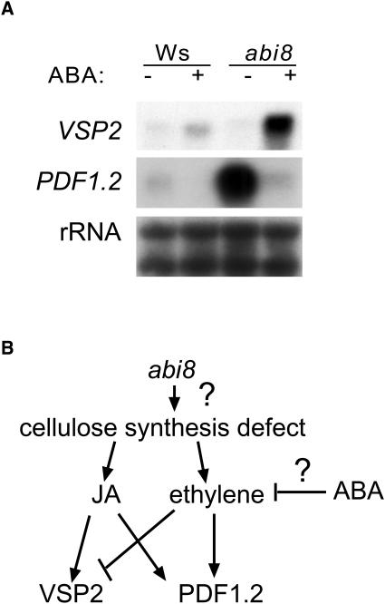 Figure 9.