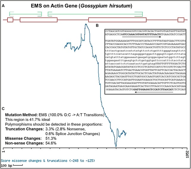 FIGURE 4