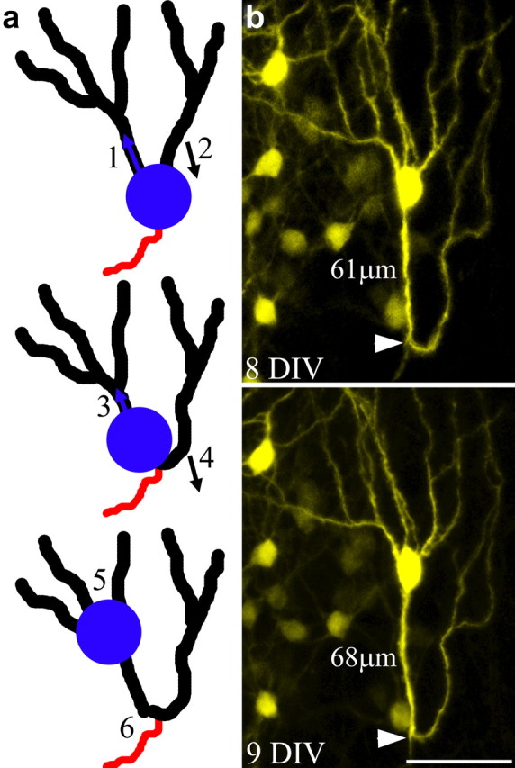 Figure 4.