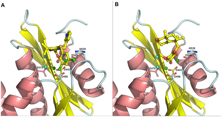 Figure 5