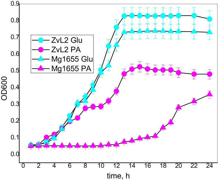 FIGURE 4