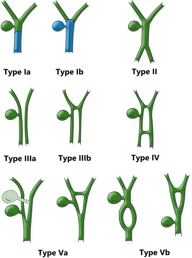 Fig. 5