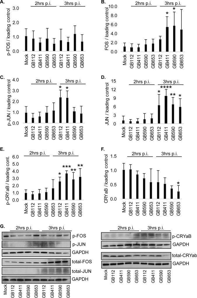 FIG 2