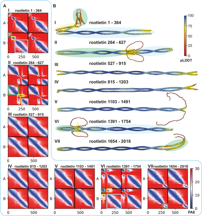 Figure 3—figure supplement 1.