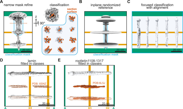 Figure 3—figure supplement 2.