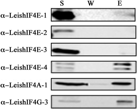 Figure 4.