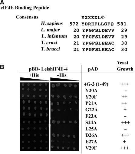 Figure 7.