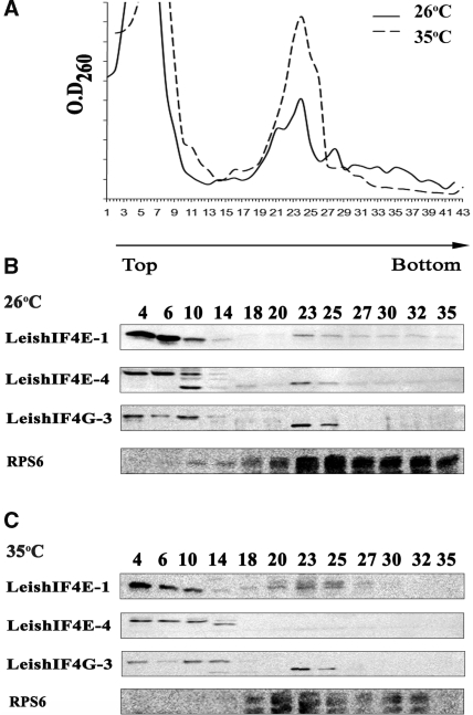 Figure 2.