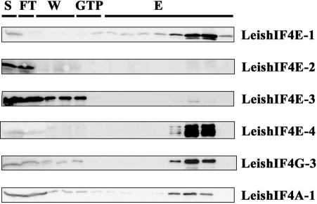 Figure 1.