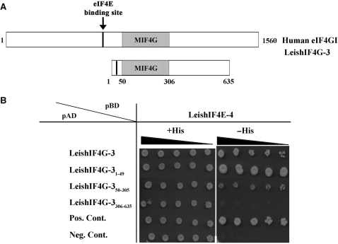 Figure 6.