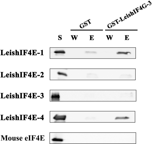 Figure 3.