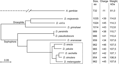 Figure 1.—