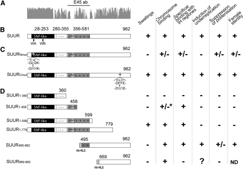 Figure 3.—