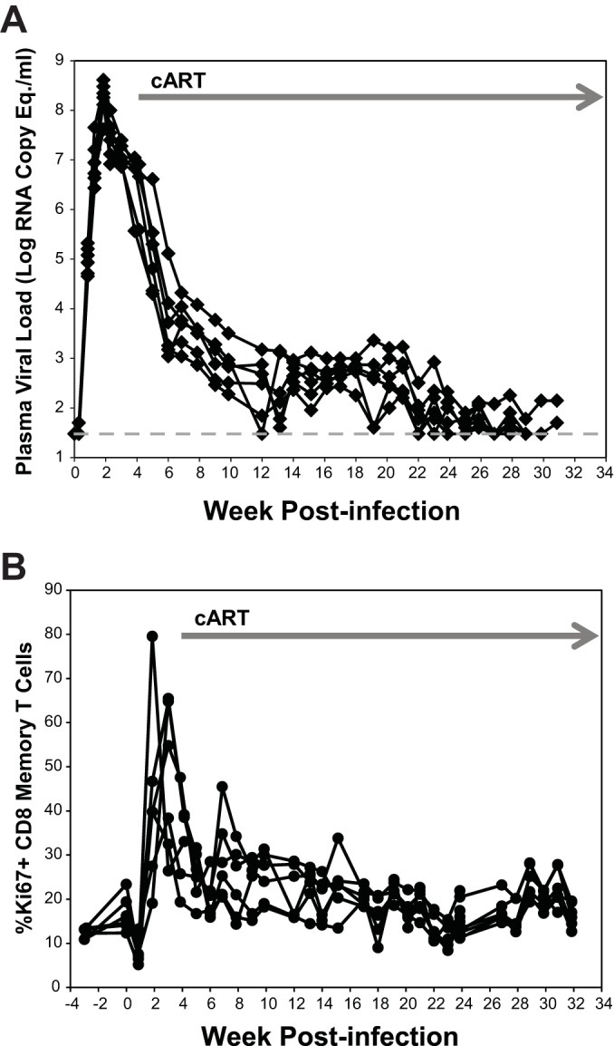 FIG 2