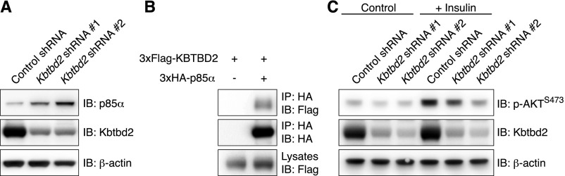 Fig. S4.