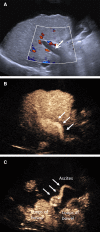 Fig. 6