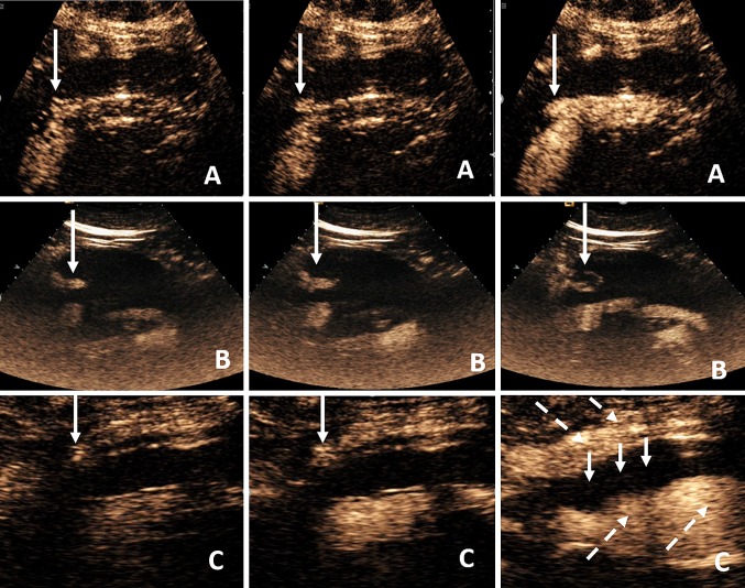 Fig. 2