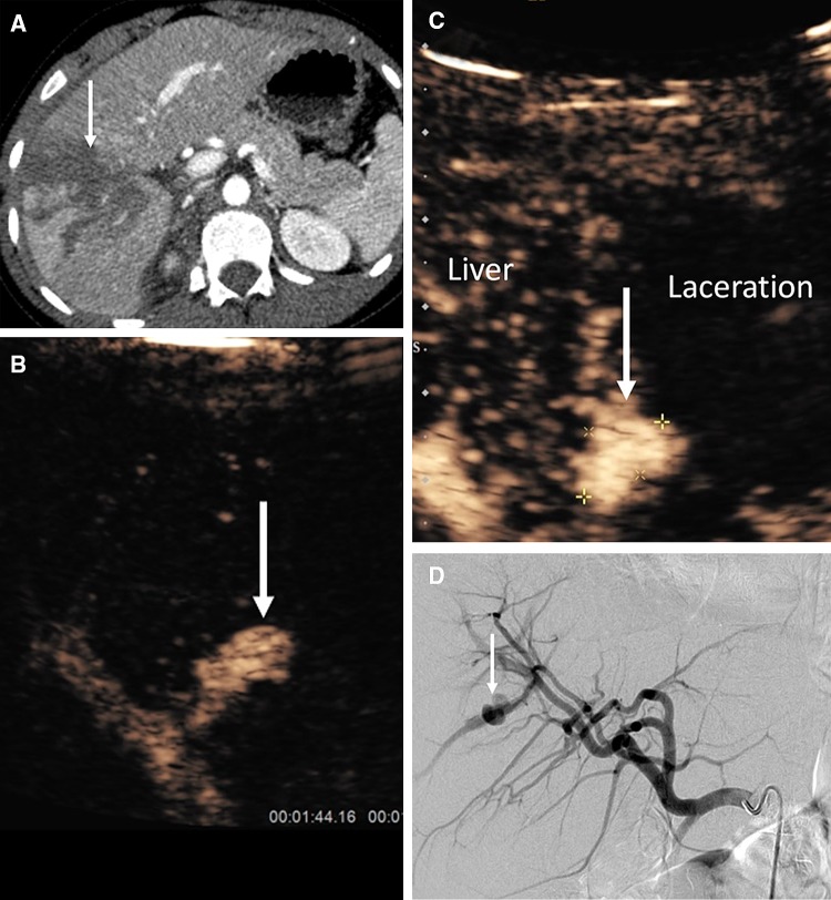 Fig. 7