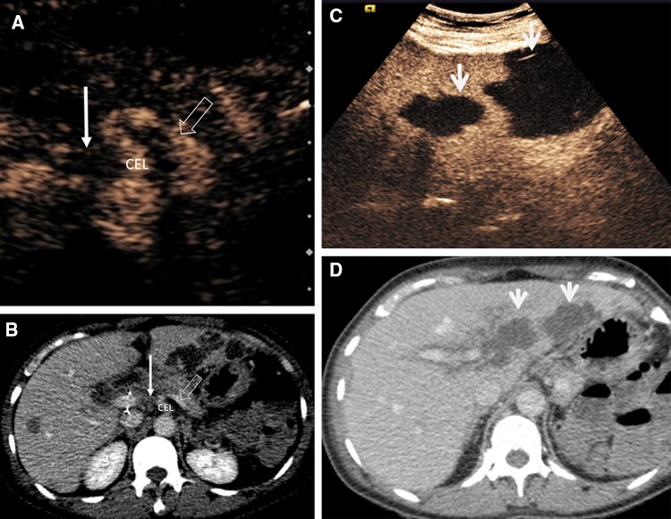 Fig. 8