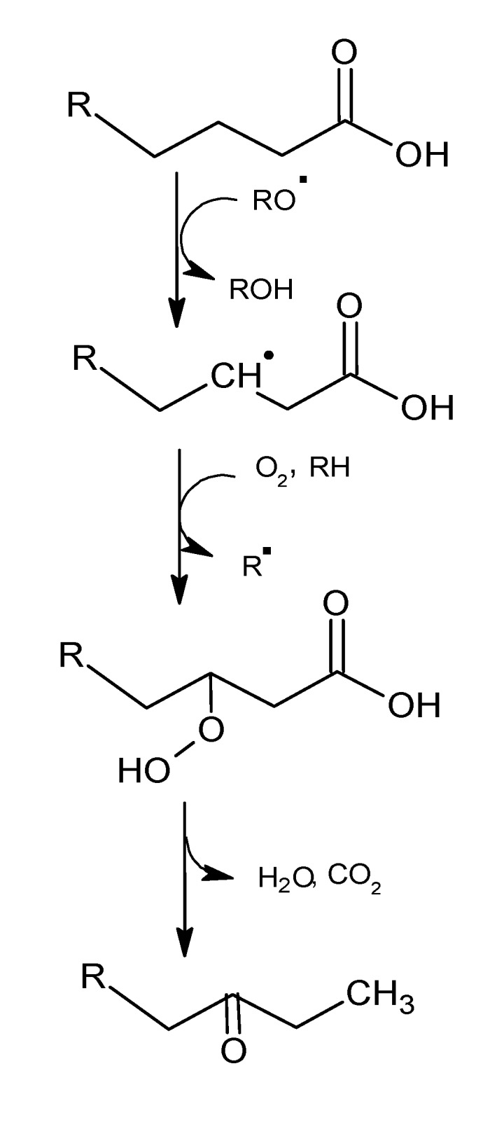 Scheme 5