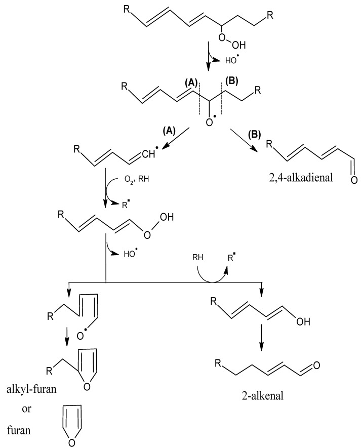 Scheme 4