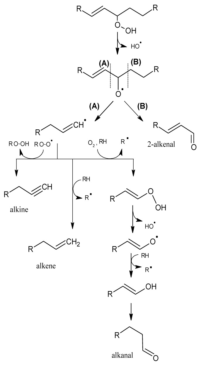 Scheme 2