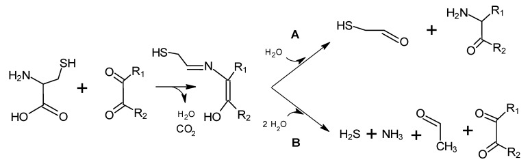 Scheme 8