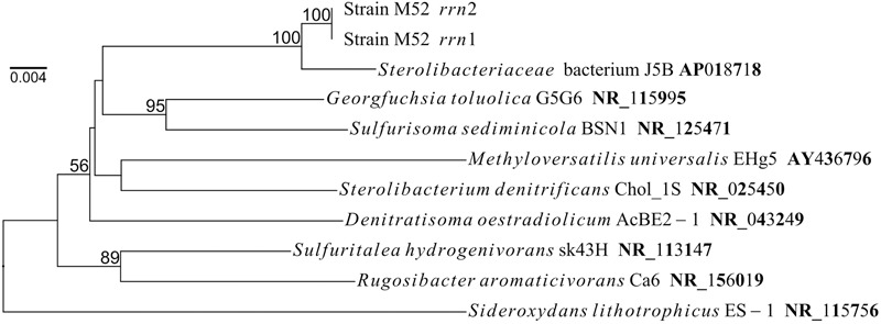 FIGURE 1