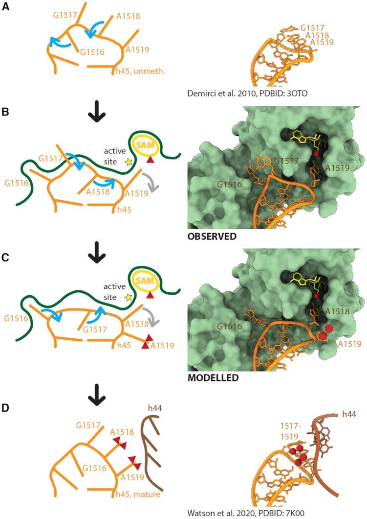 Figure 4.