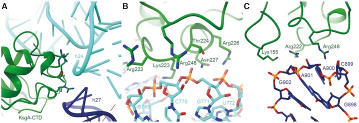 Figure 2.