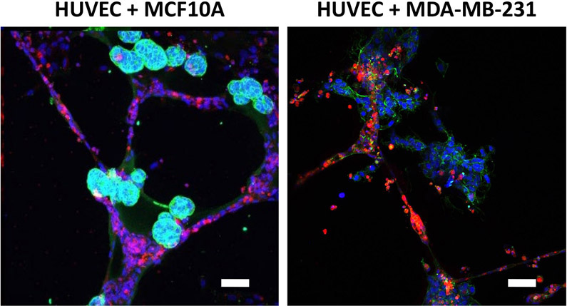 Figure 3: