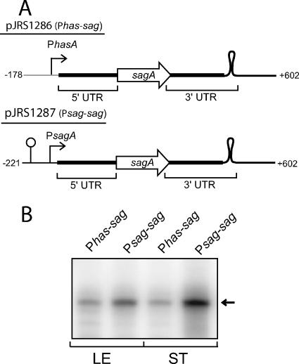 FIG. 5.