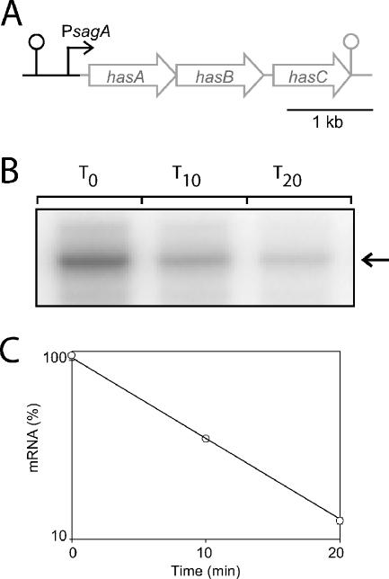 FIG. 2.