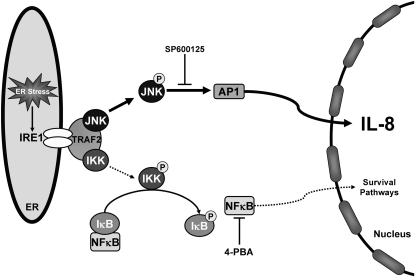 Figure 9.