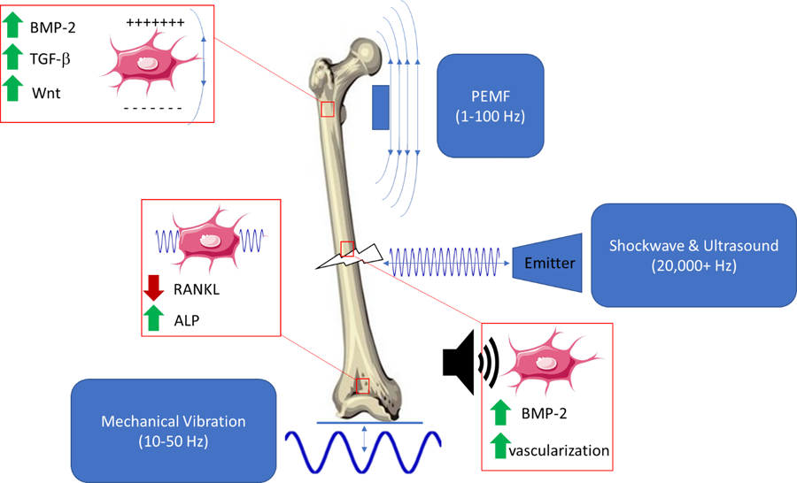 Figure 4: