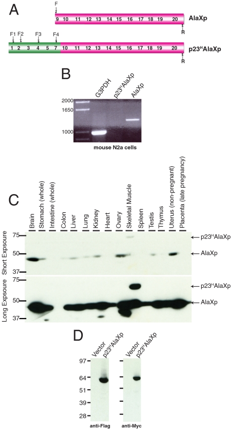 Fig. 2.