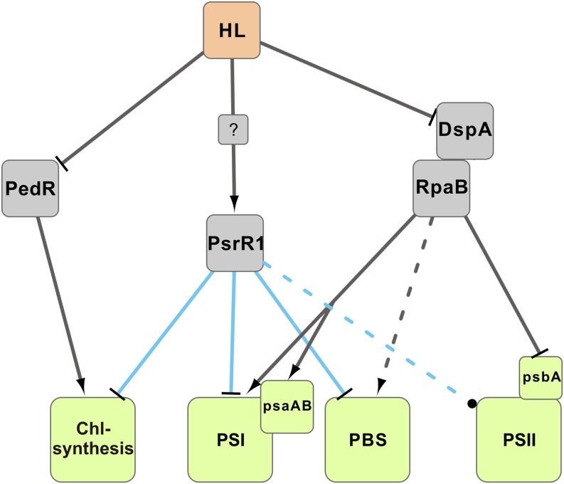 Figure 10.